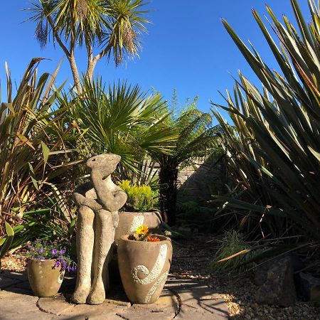 Starfish Cottage- Private Beach Access- Dog Friendly Чарлстаун Екстериор снимка