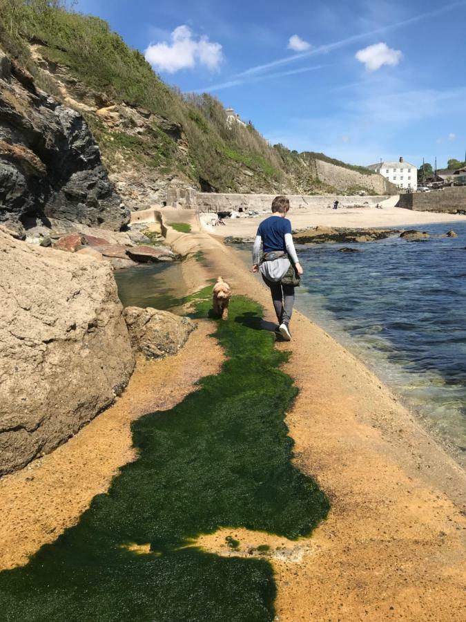 Starfish Cottage- Private Beach Access- Dog Friendly Чарлстаун Екстериор снимка
