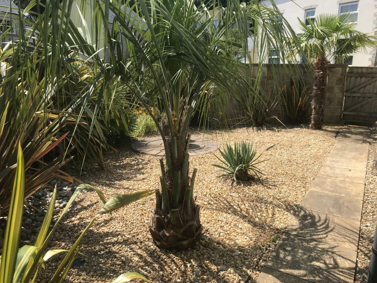 Starfish Cottage- Private Beach Access- Dog Friendly Чарлстаун Екстериор снимка